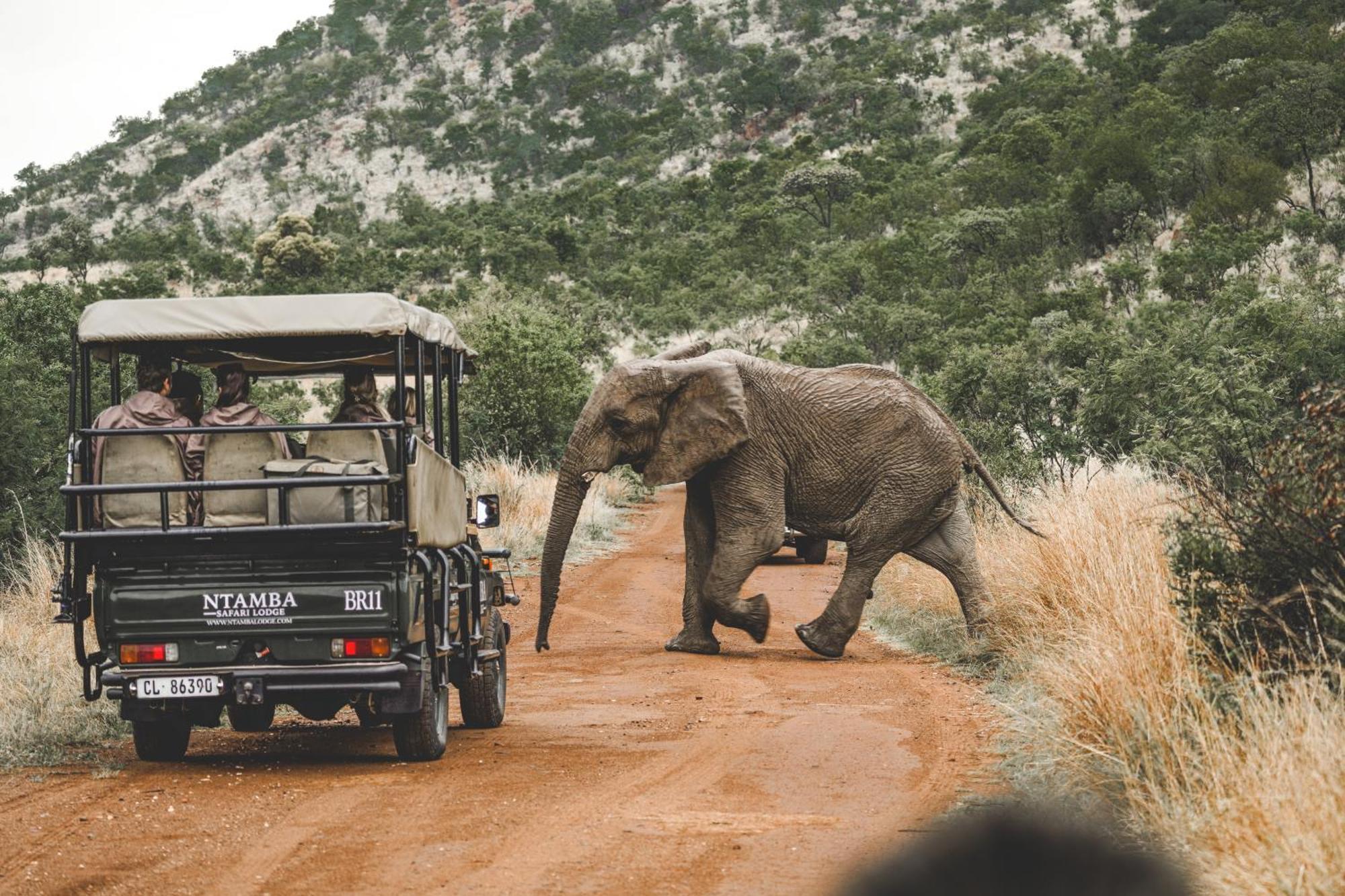 Ntamba Safari Lodge Matlhagame Buitenkant foto